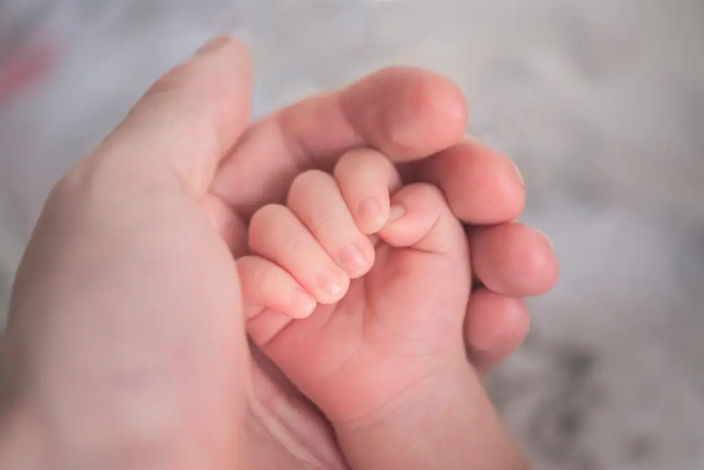 A baby's hand cupped inside an adult's hand